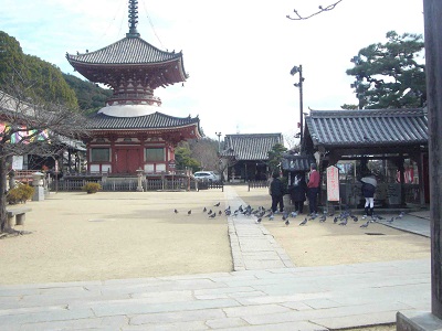 尾道市の浄土寺へ初詣行きました メイン画像